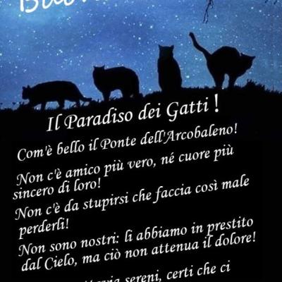 Buonanotte Dal Paradiso Dei Gatti