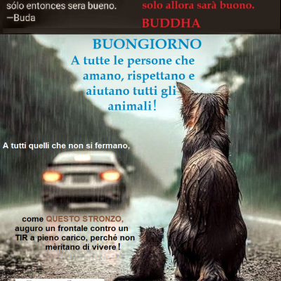 Buongiorno A Tutte Le Persone Che Amano Rispettano E Aiutano Tutti Gli Animali