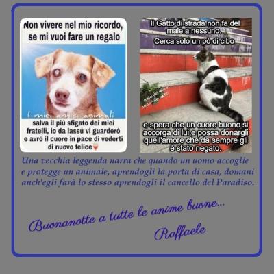 Fd3b4da350eeaf6322409597a4be8fbf