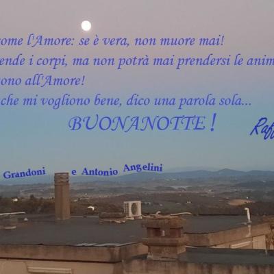 Lamicizia E Come Lamore