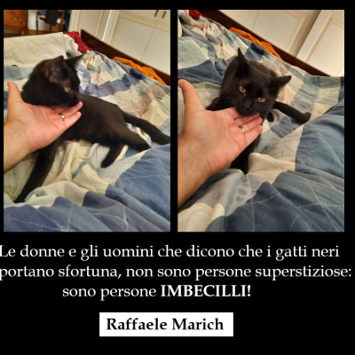Le Donne E Gli Uomini Che Diconopng