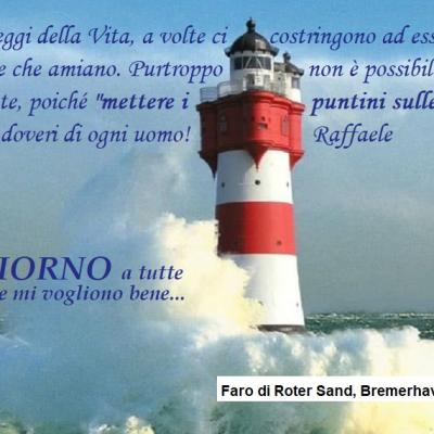 Le Dure Leggi Della Vita A Volte Ci Costringono Ad Essere 