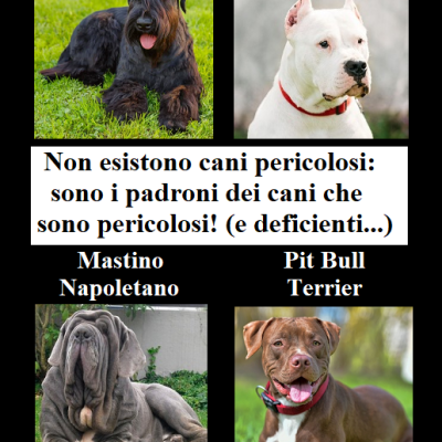 Non Esistono Cani Pericolosi