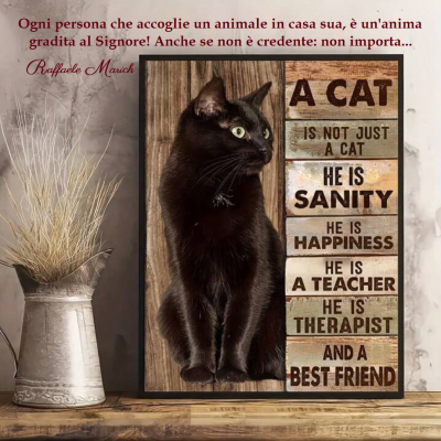 Ogni Persona Che Accoglie Un Animale In Casa Sua 
